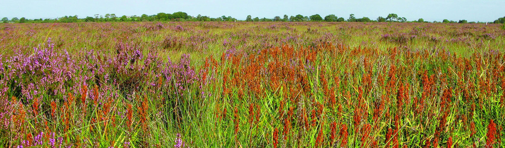 Natural Beauty around Bowness-on-Solway