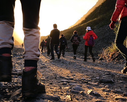 guided walks